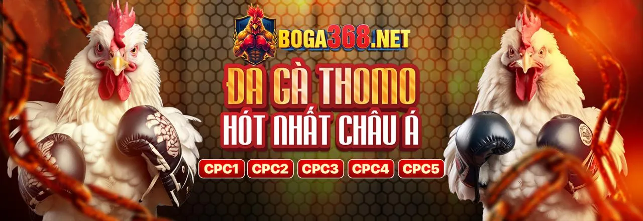 Sân vận động với trận đấu bóng đá sôi động, thể hiện cá cược thể thao xeng88 app