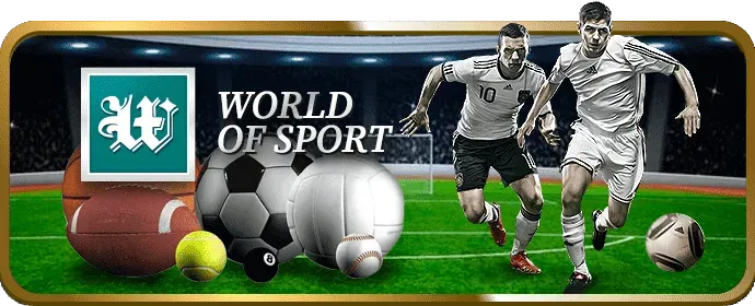 Giới thiệu về đấu trường đá gà trực tuyến xeng88 app