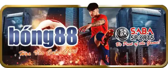 Xem trực tiếp trận đấu HD trên xeng88 app